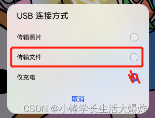 【教程】超详细通过Shizuku转生支付宝集成XQ_Crystal来自动收能量