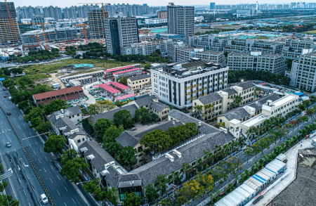 小村庄迸发大能量，桃浦村“藏”着花样经，“烘”出财富来