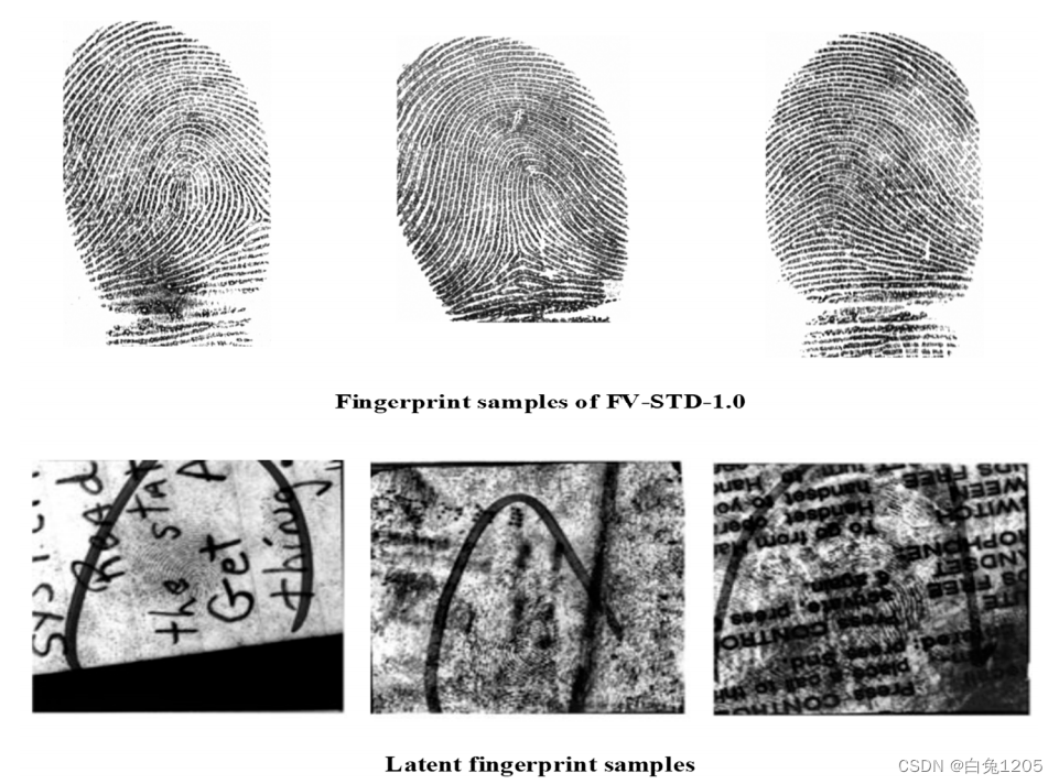 Security and Accuracy of Fingerprint-BasedBiometrics A Review（IF:2.94）