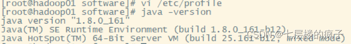 二、Hadoop系统应用之Hadoop集群搭建（超详细步骤指导操作，WIN10，VMware Workstation 15.5 PRO，CentOS-6.7）