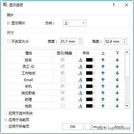 OrgCharting教程：如何绘制一个组织结构图？