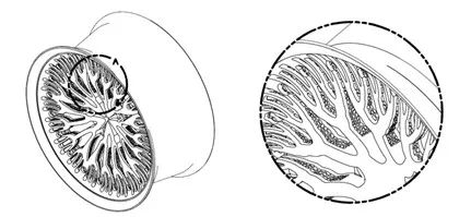 定制轮毂中的创成式设计