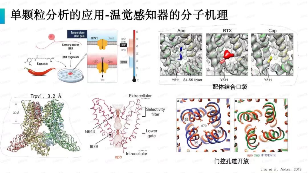 生命科学领域下的医药研发通过什么技术？冷冻电镜？分子模拟？IND？