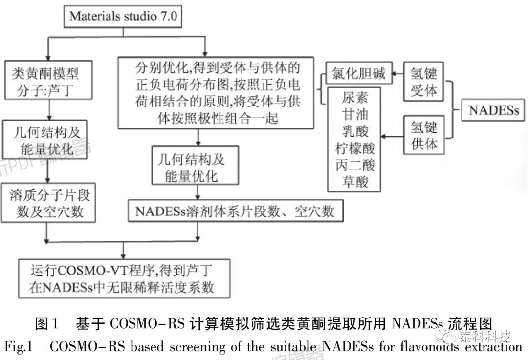 山东科技大学崔志芳副教授团队成果：基于COSMO-RS筛选低共熔溶剂及银杏叶类黄酮提取工艺优化