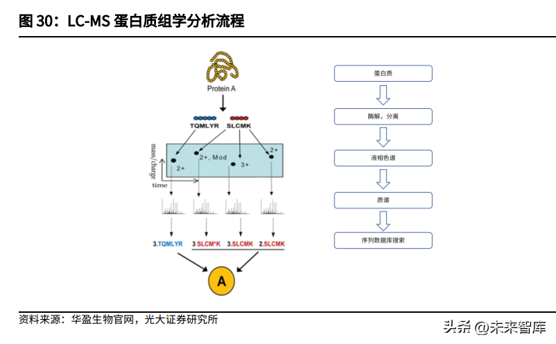 质谱仪行业深度研究：临床质谱，蛰伏蓄力，以待花开