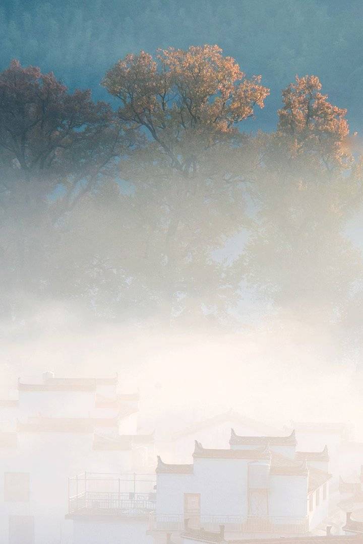 青未了｜一年最后的繁华