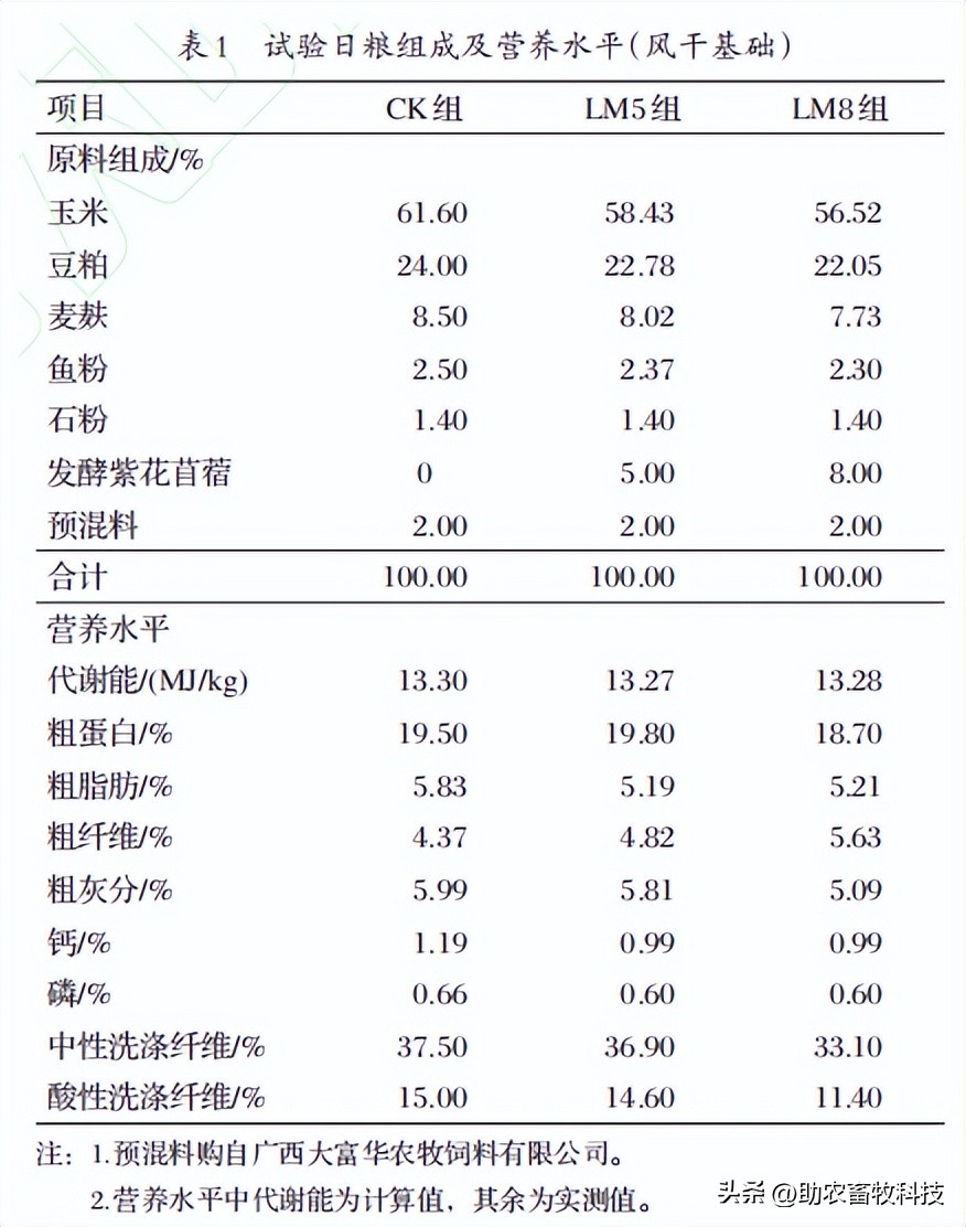 部分发酵紫花苜蓿养殖肉鸡能够增强免疫力，肉质口感、鲜嫩度更高