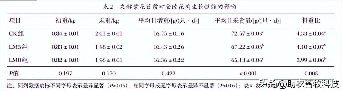 部分发酵紫花苜蓿养殖肉鸡能够增强免疫力，肉质口感、鲜嫩度更高